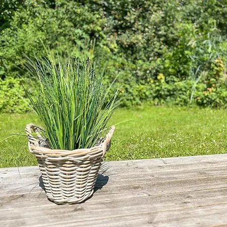 Schatzkiste - Dorf 08